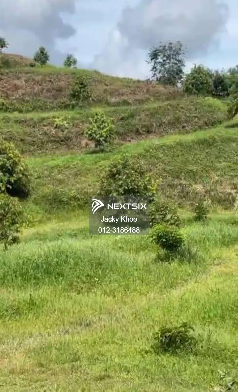 Agricultural Land For Sale in Kuala Lipis Pahang - Image 3