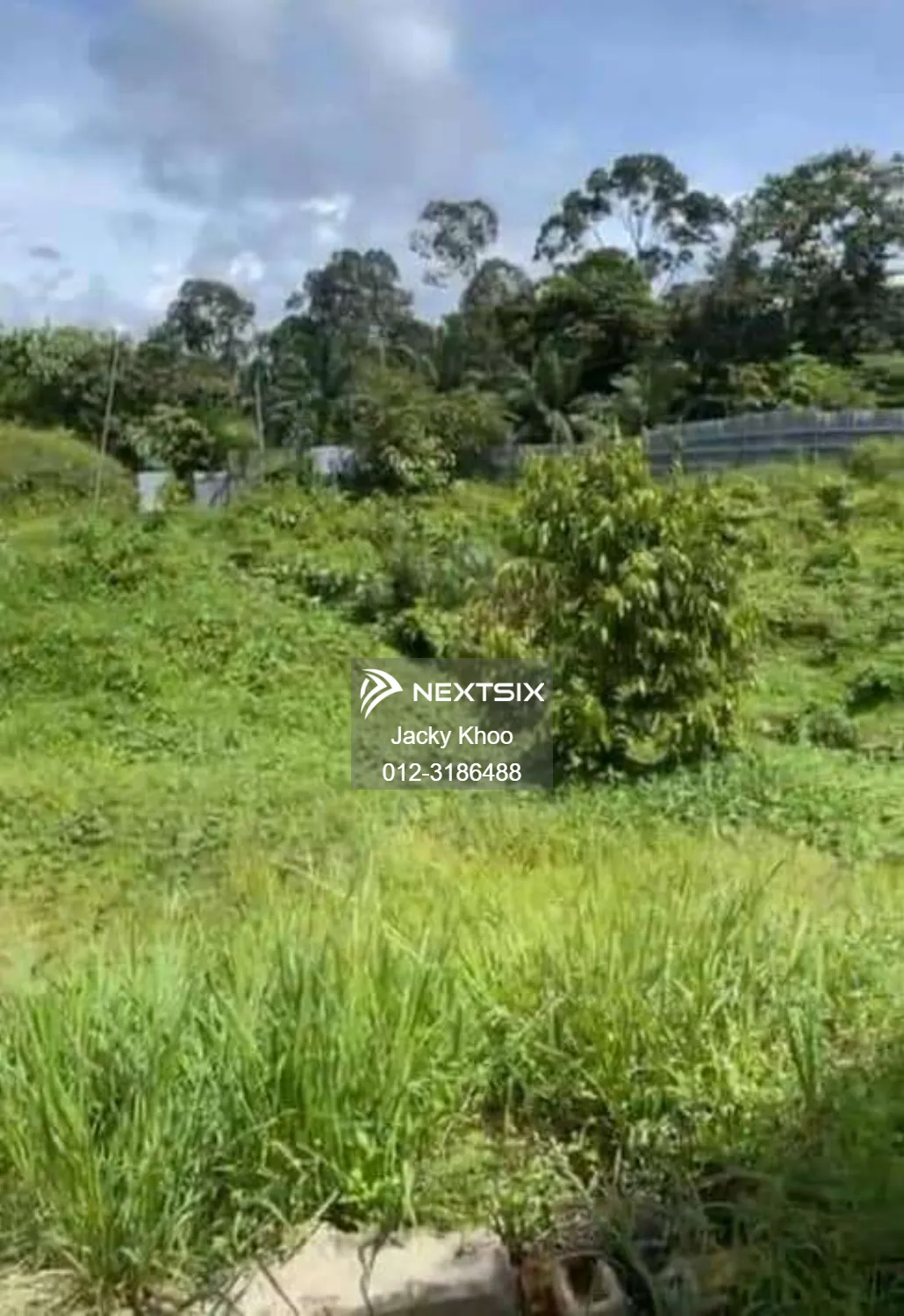 Agricultural Land For Sale in Kuala Lipis Pahang - Image 7