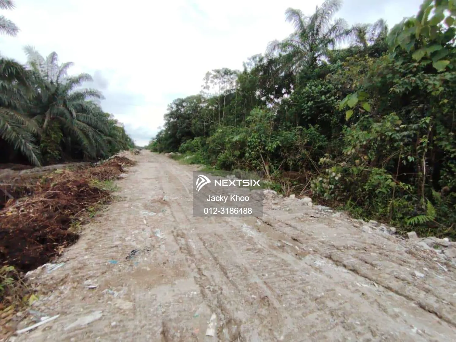 Agricultural Land For Sale in Telok Panglima Garang Selangor - Image 4
