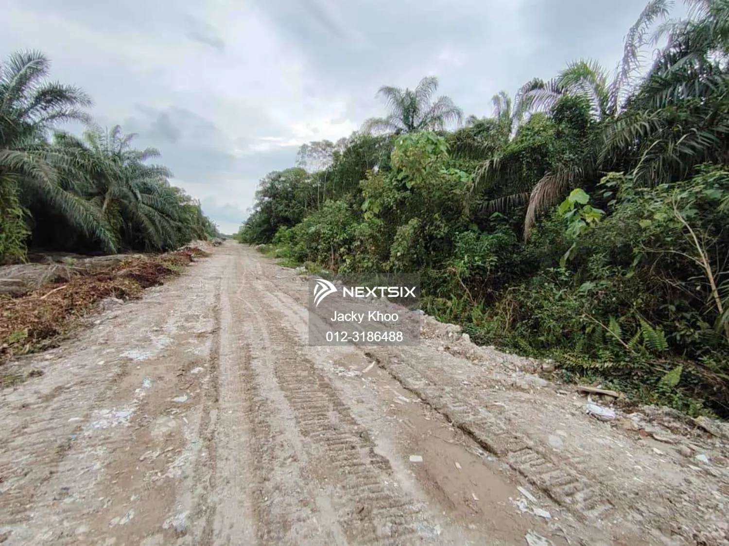 Agricultural Land For Sale in Telok Panglima Garang Selangor - Image 5