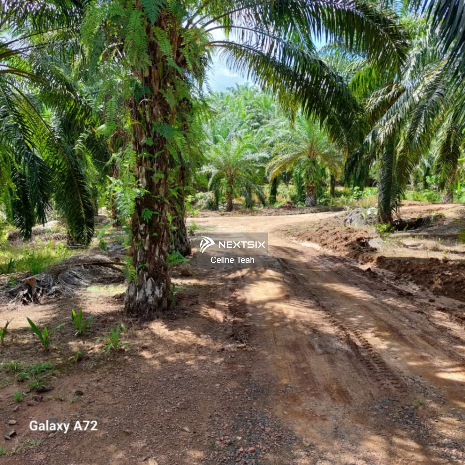 Agricultural Land For Sale in Lahad Datu Sabah - Image 10