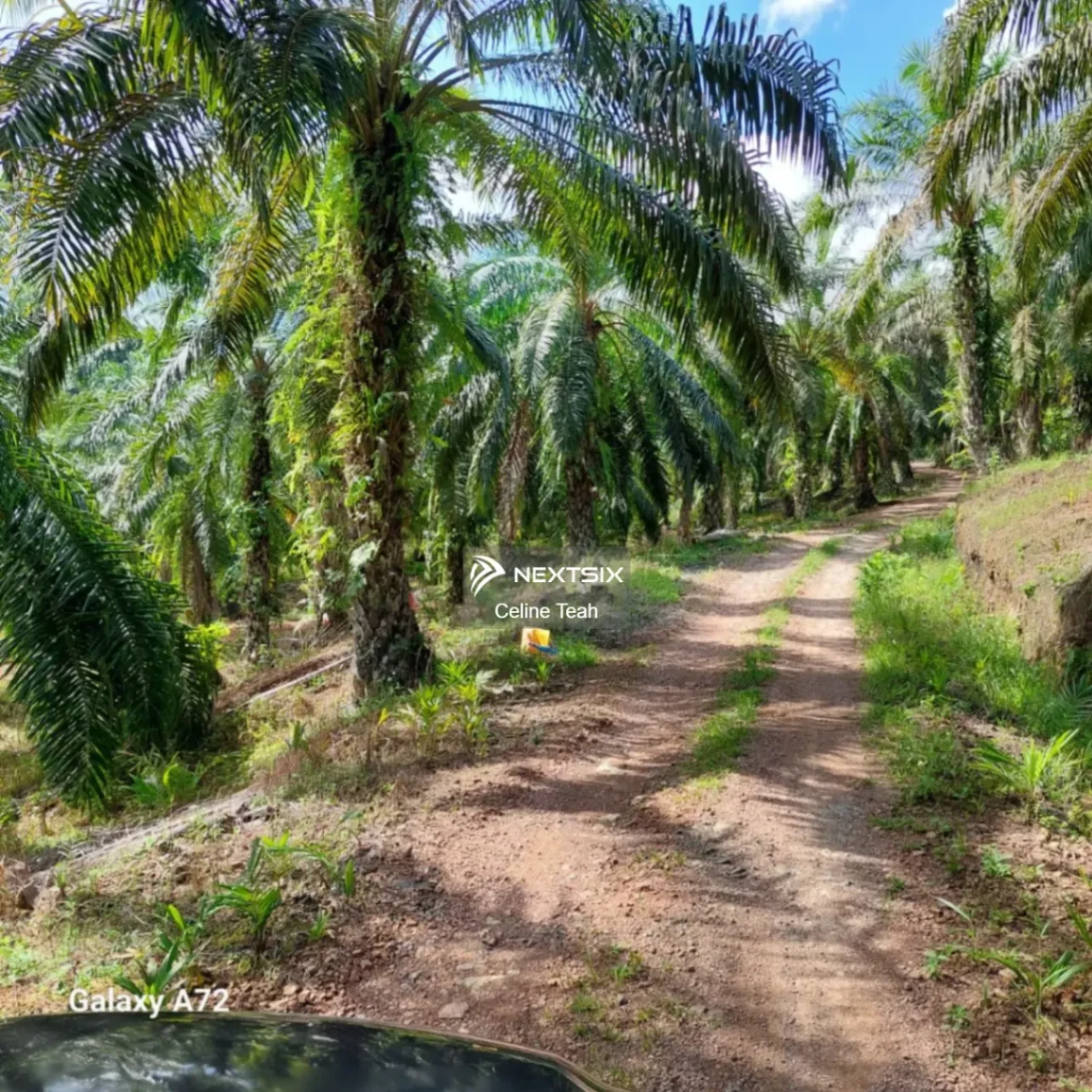 Agricultural Land For Sale in Lahad Datu Sabah - Image 12