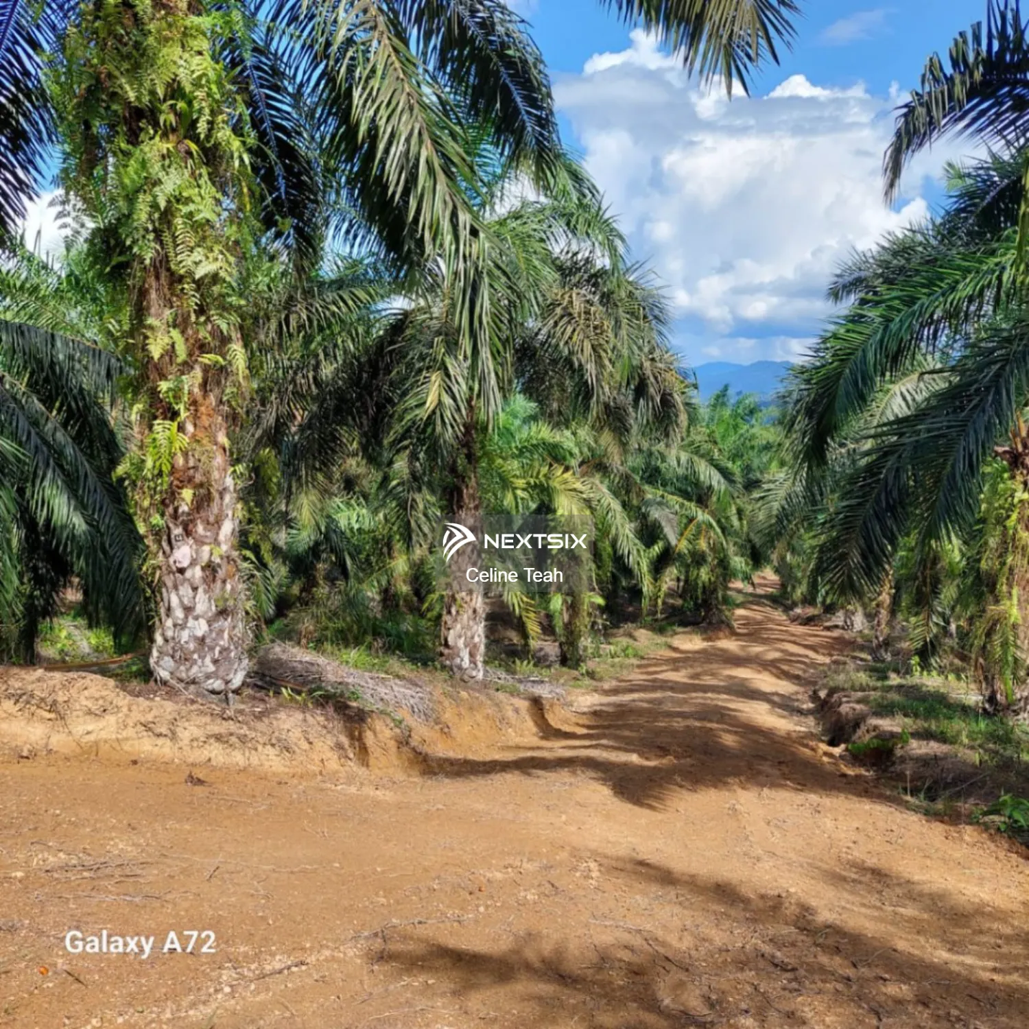Agricultural Land For Sale in Lahad Datu Sabah - Image 13