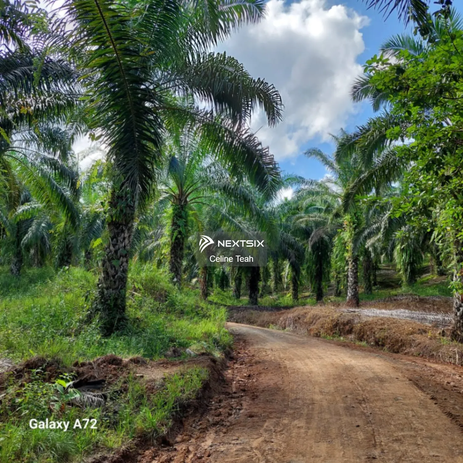 Agricultural Land For Sale in Lahad Datu Sabah - Image 14