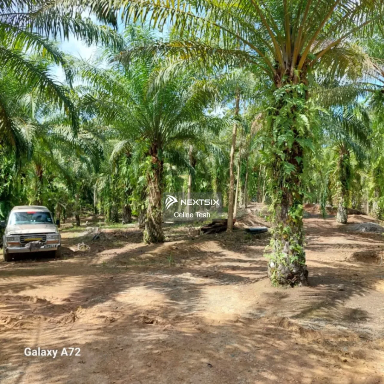 Agricultural Land For Sale in Lahad Datu Sabah - Image 15