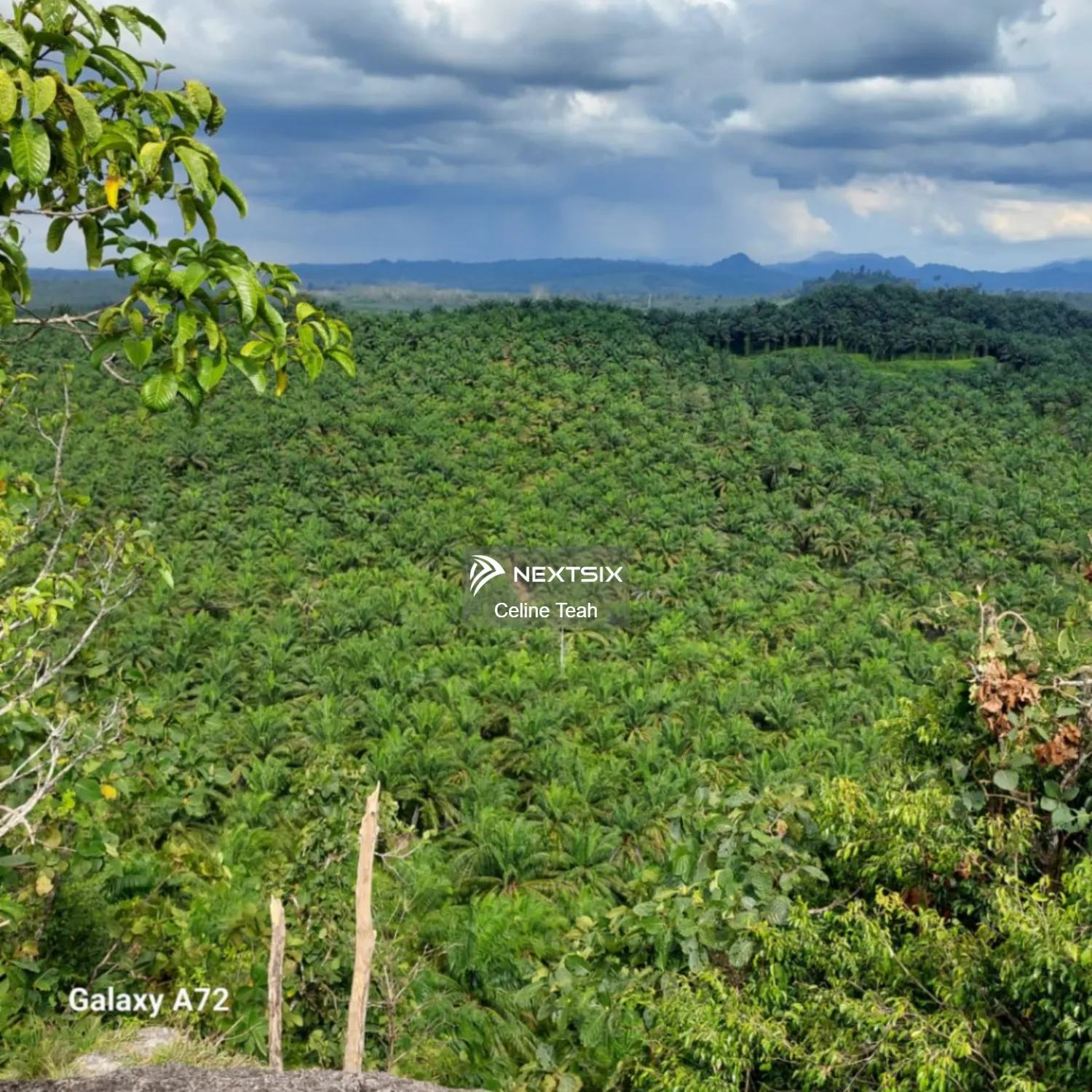 Agricultural Land For Sale in Lahad Datu Sabah - Image 6