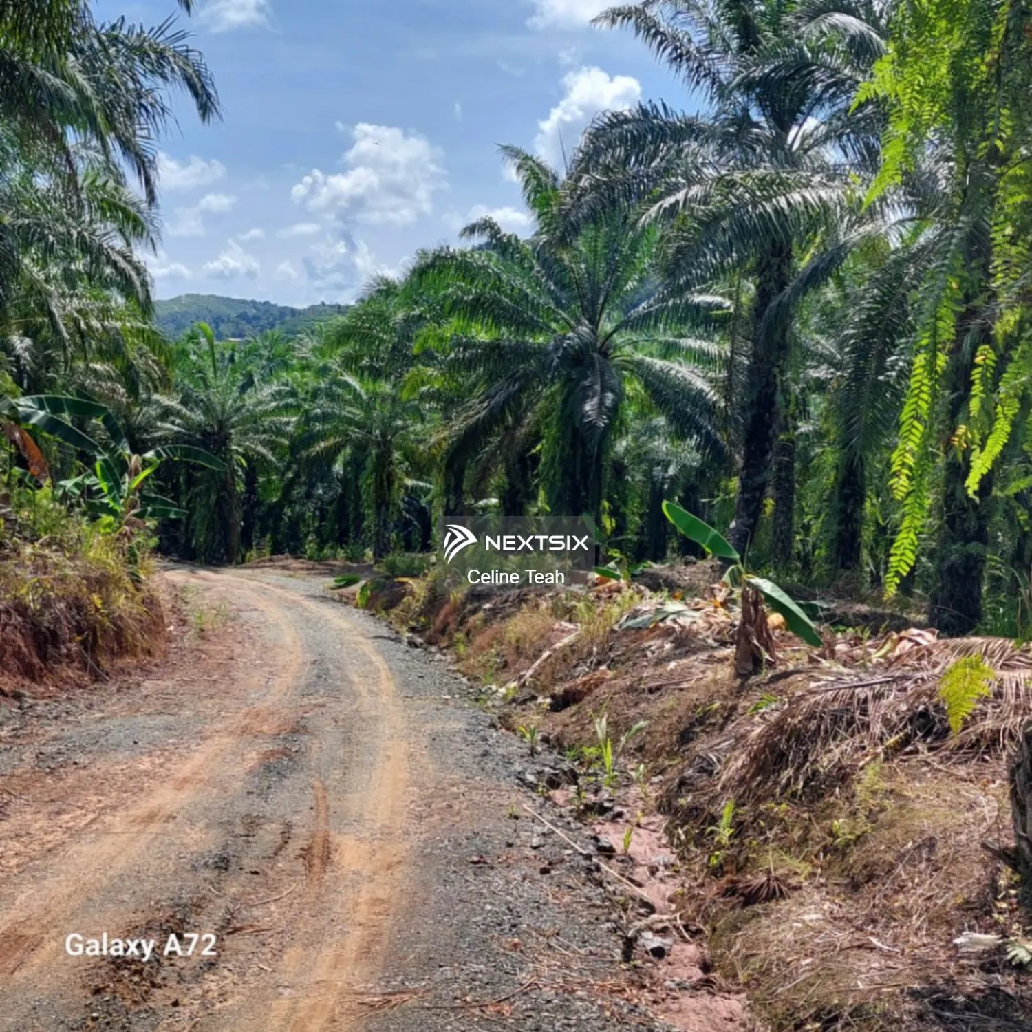 Agricultural Land For Sale in Lahad Datu Sabah - Image 7