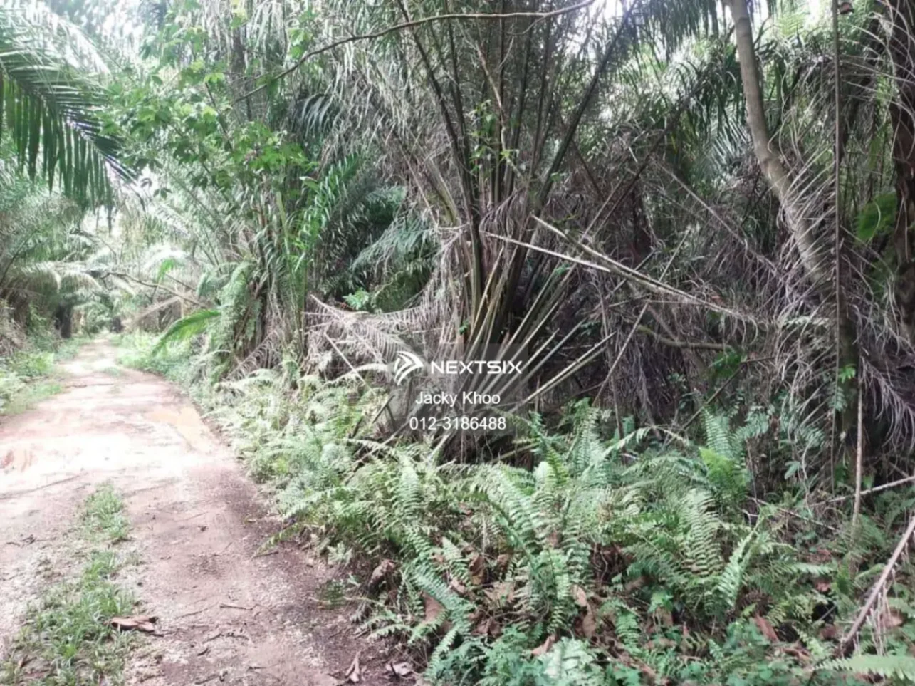Agricultural Land For Sale in Telok Panglima Garang Selangor - Image 5