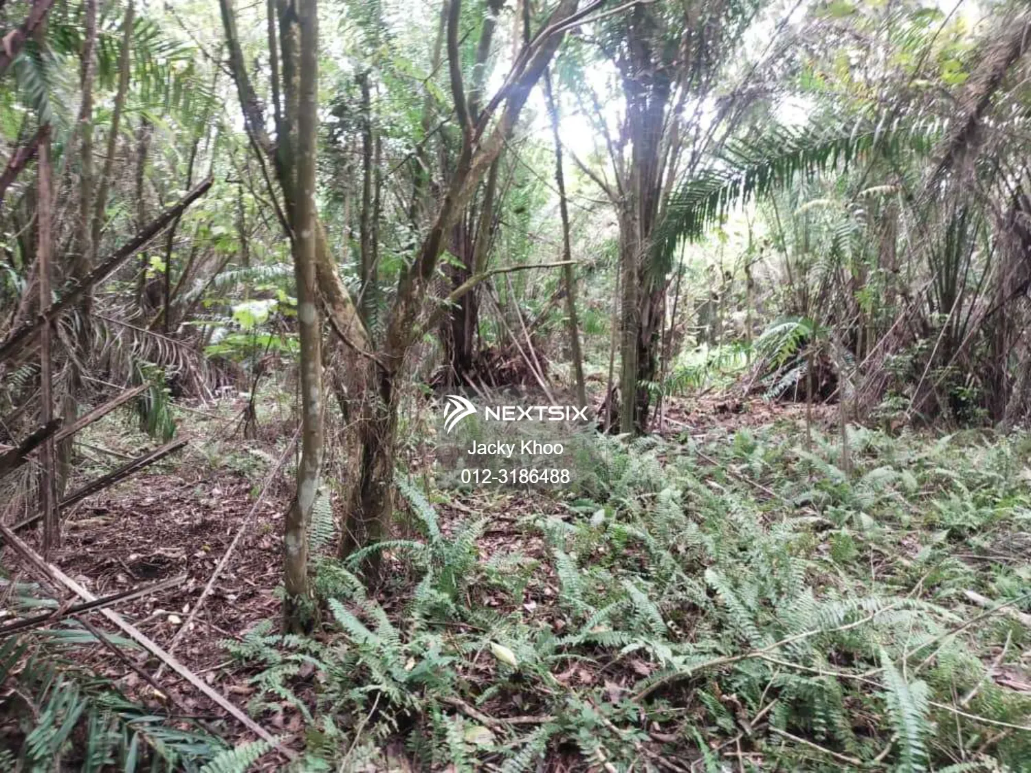 Agricultural Land For Sale in Telok Panglima Garang Selangor - Image 6