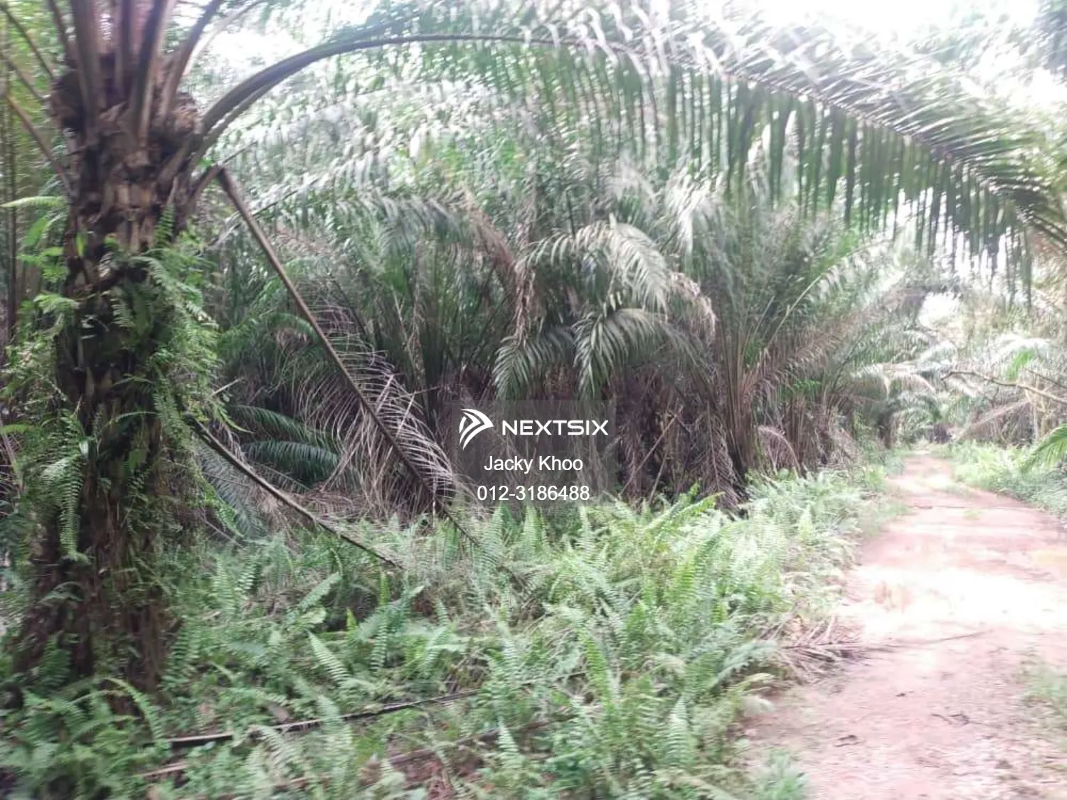 Agricultural Land For Sale in Telok Panglima Garang Selangor - Image 7