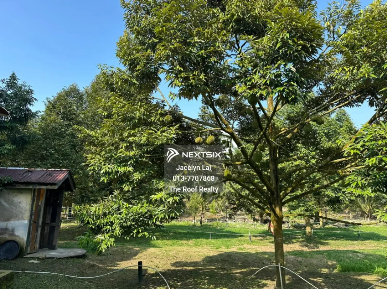 Agricultural Land For Sale in Batu Pahat Johor - Image 10