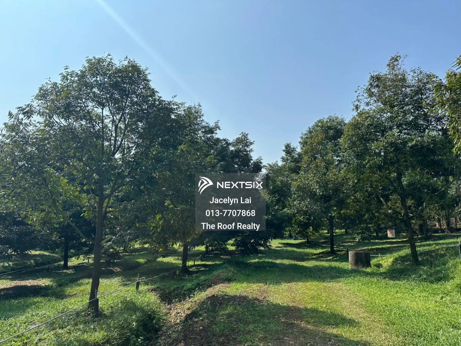 Agricultural Land For Sale in Batu Pahat Johor - Image 12