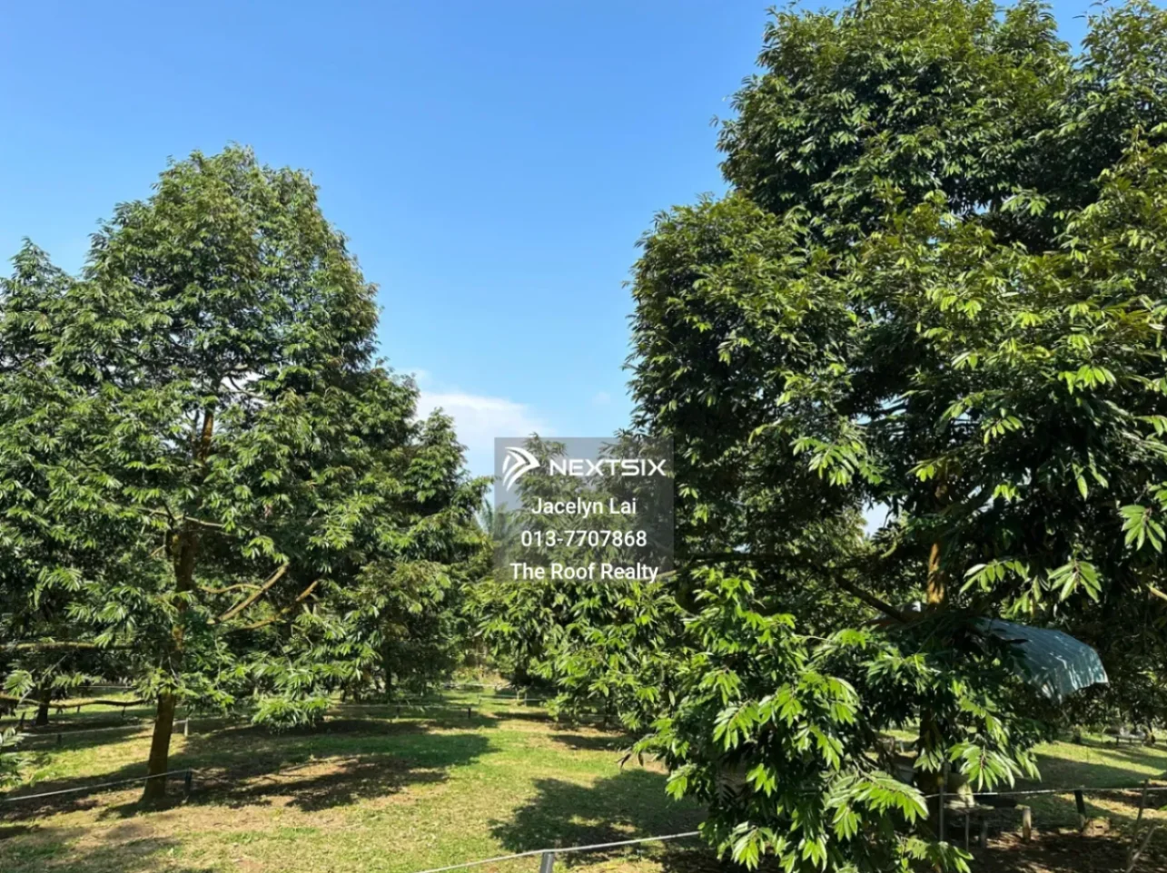 Agricultural Land For Sale in Batu Pahat Johor - Image 13