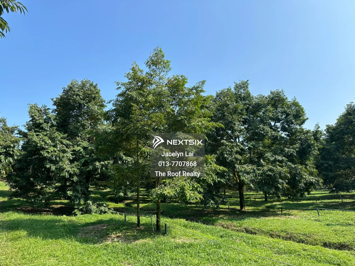 Agricultural Land For Sale in Batu Pahat Johor - Image 16