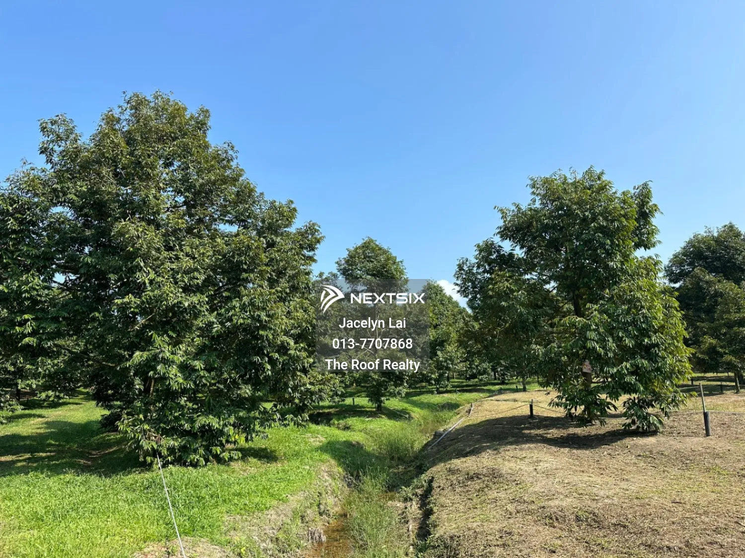 Agricultural Land For Sale in Batu Pahat Johor - Image 18