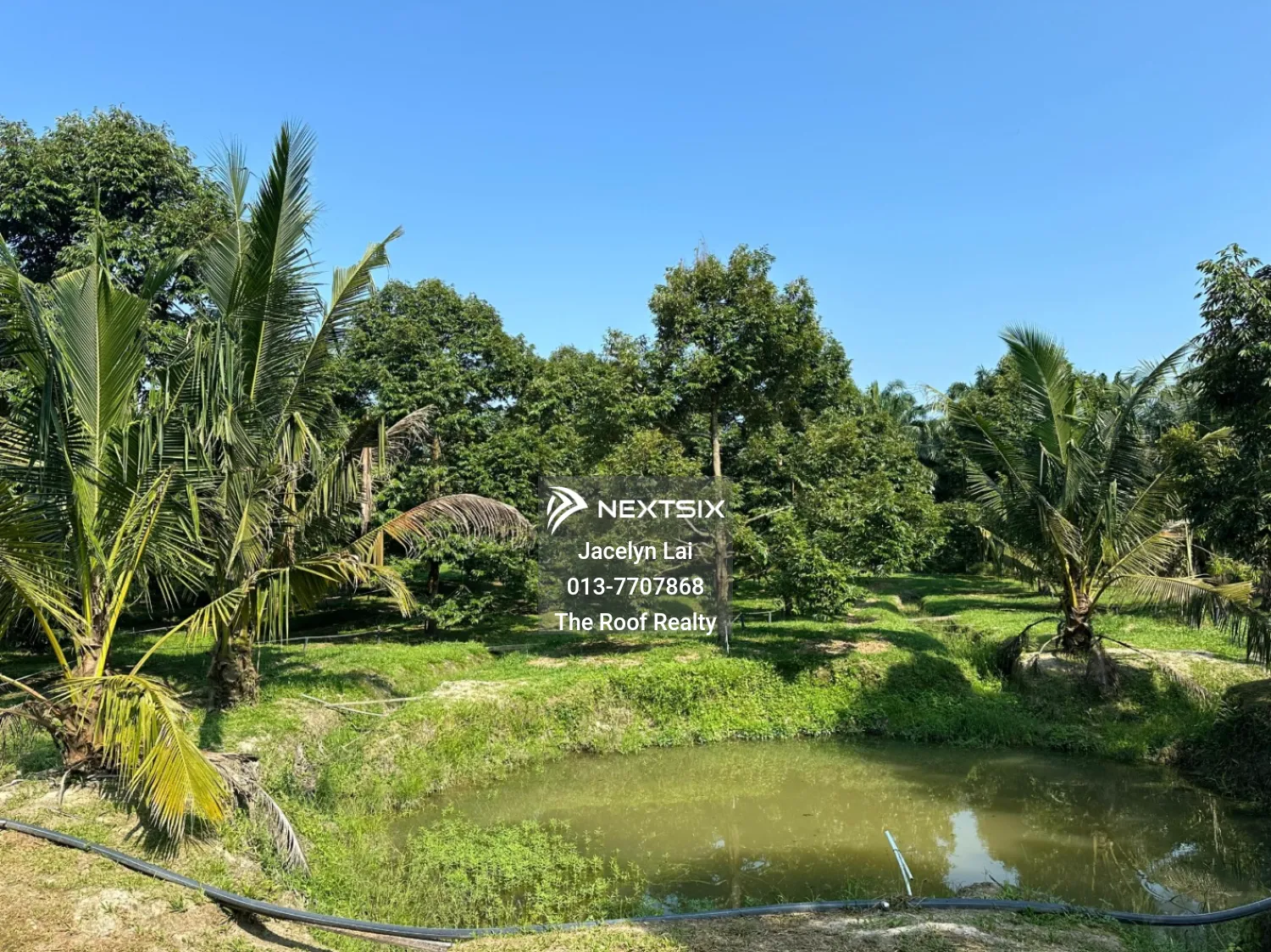 Agricultural Land For Sale in Batu Pahat Johor - Image 5