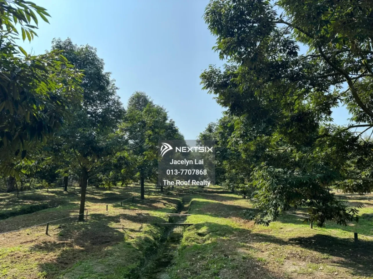 Agricultural Land For Sale in Batu Pahat Johor - Image 6