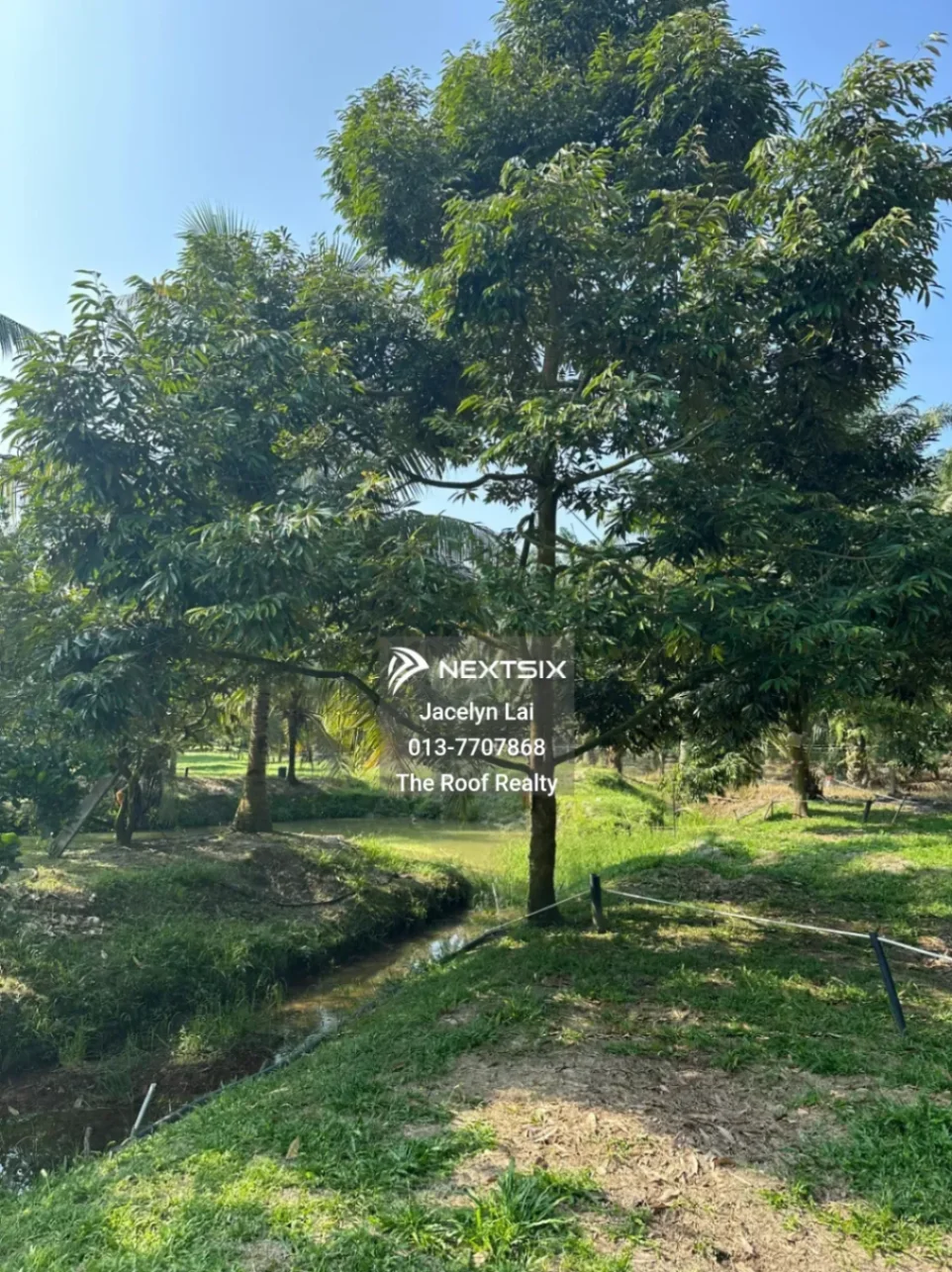 Agricultural Land For Sale in Batu Pahat Johor - Image 7