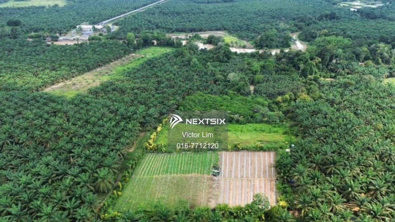 Agricultural Land For Sale in Kota Tinggi Johor