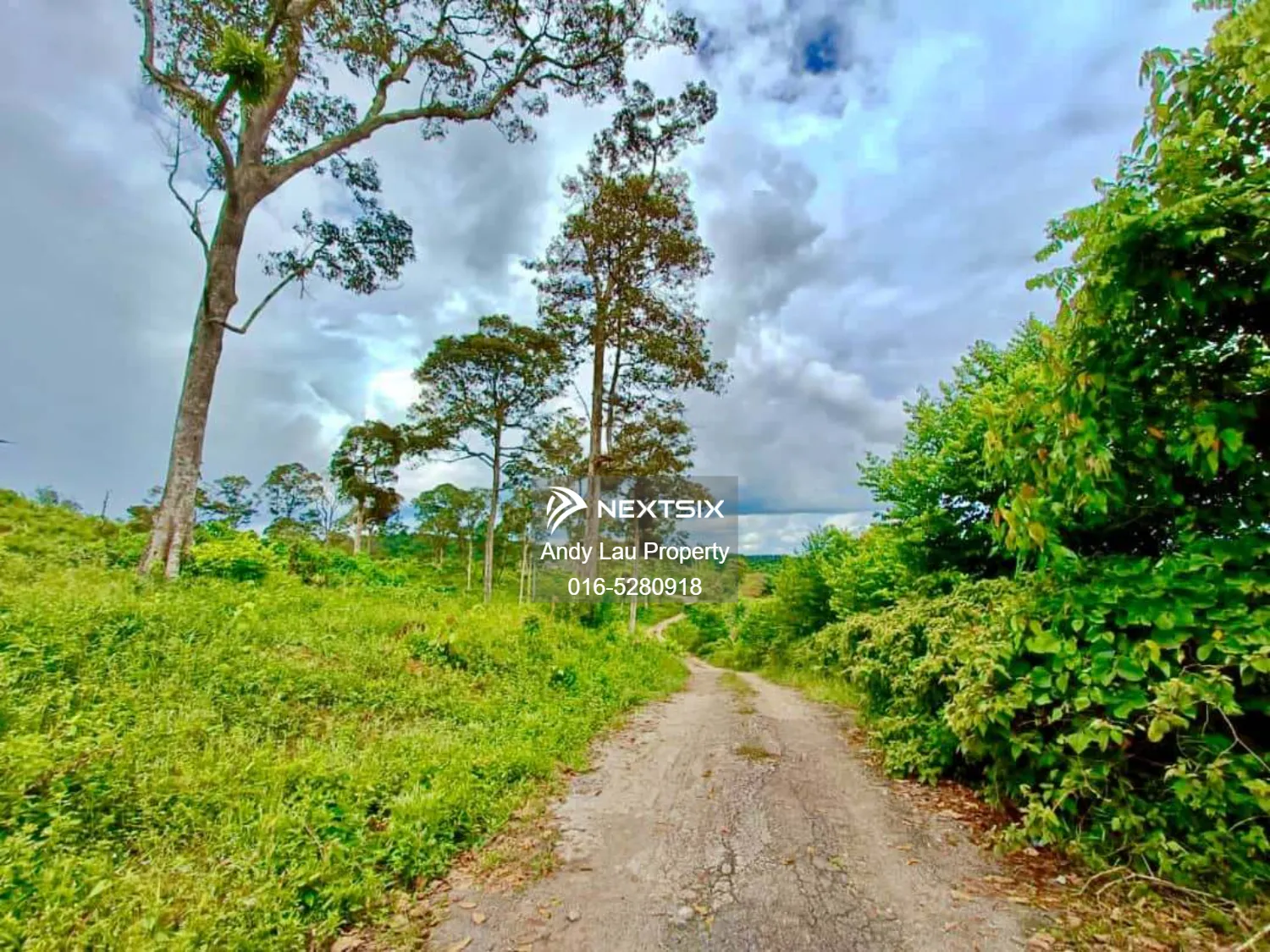 Seelong / Skudai / Tampoi / Impian Emas / Setia Tropika / Sutera / Saleng / Kelapa Sawit / Kempas