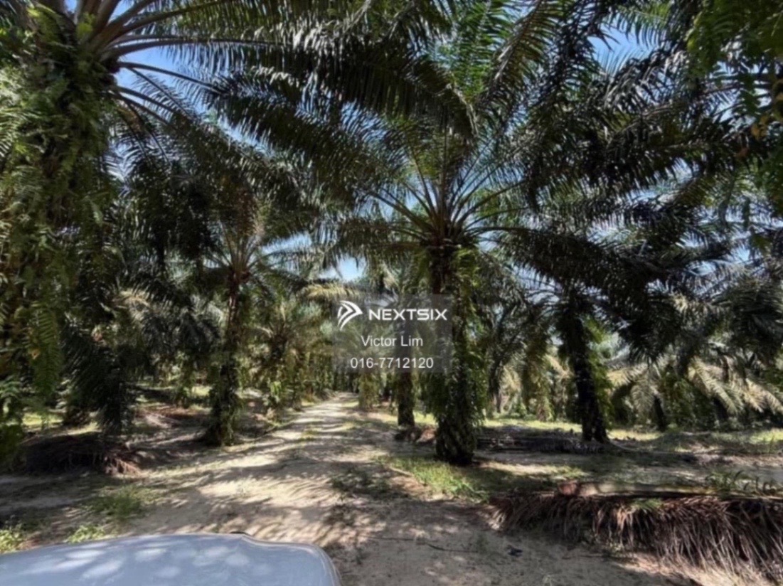 Agricultural Land For Sale in Simpang Rengam Johor