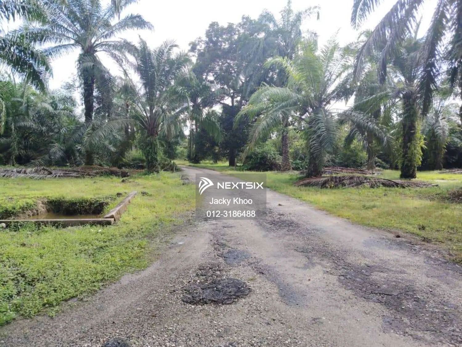 Agricultural Land For Sale in Telok Panglima Garang Selangor - Image 5