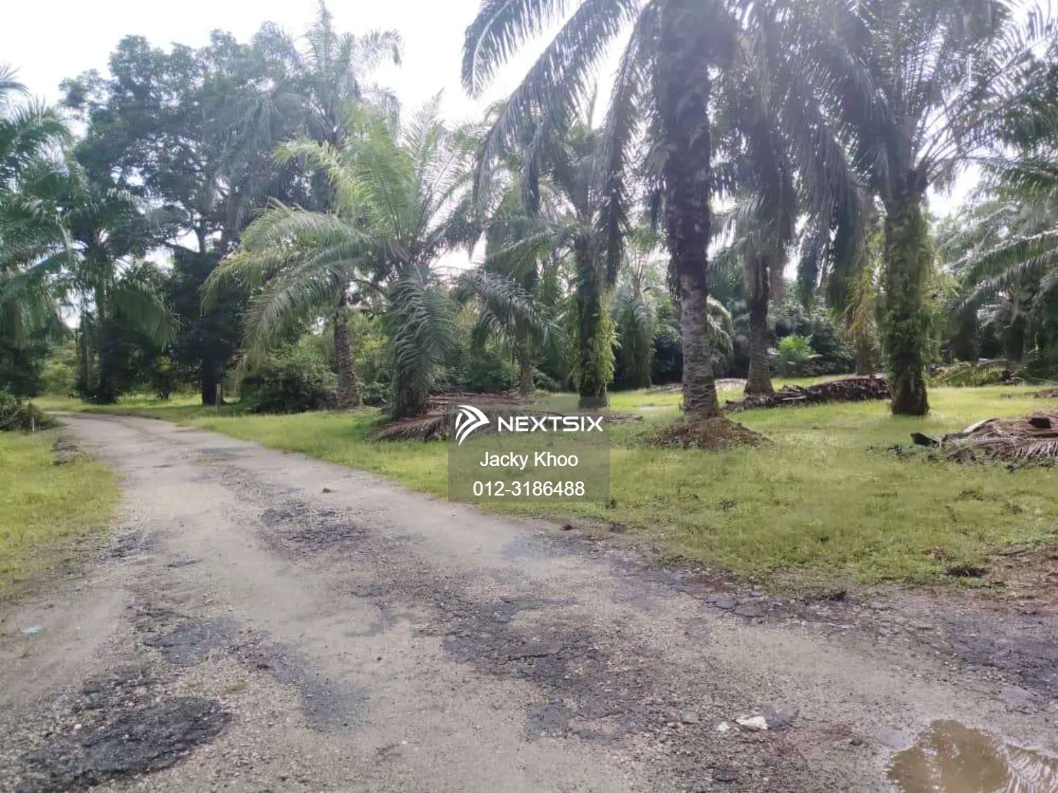 Agricultural Land For Sale in Telok Panglima Garang Selangor - Image 6