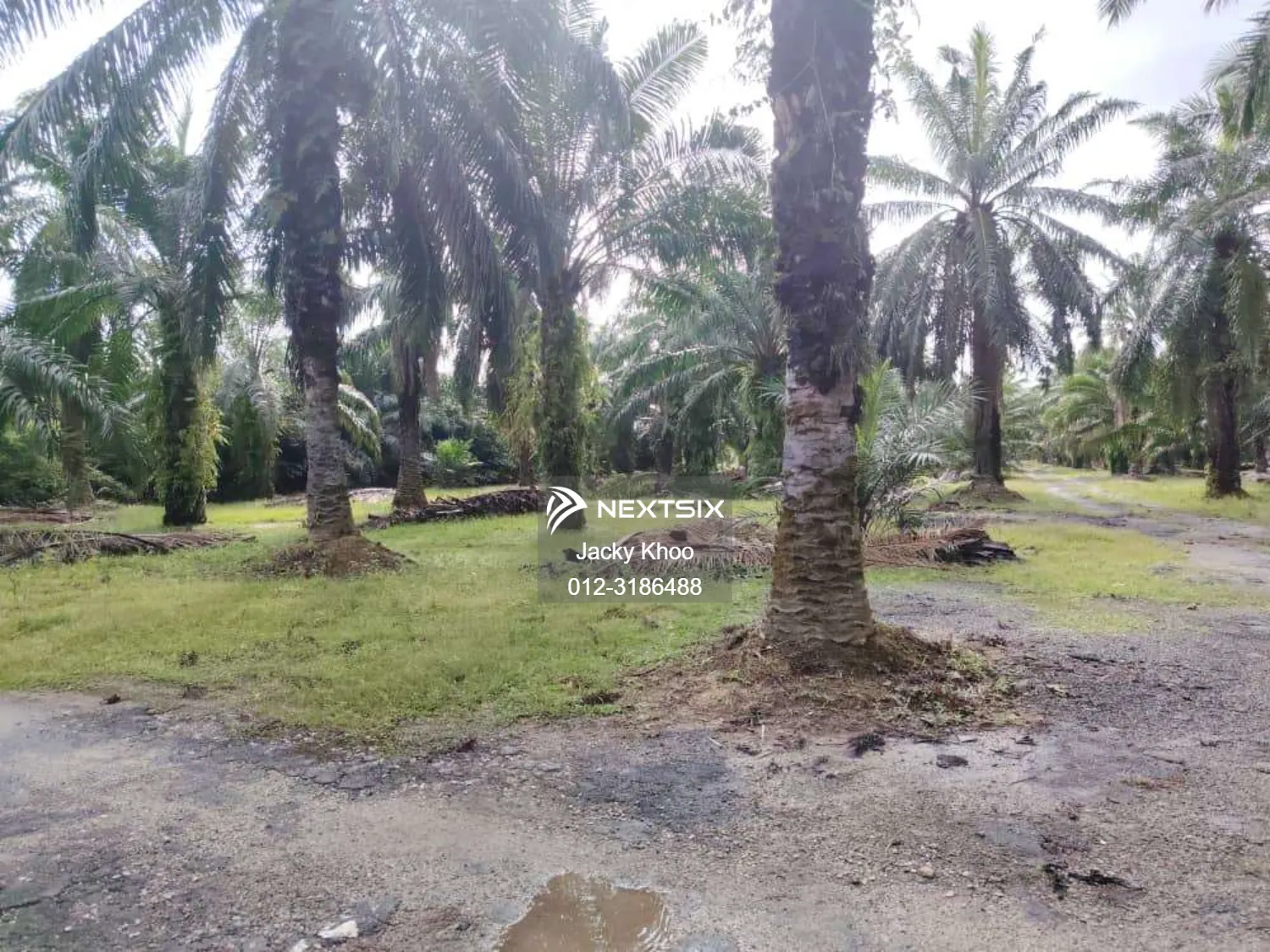 Agricultural Land For Sale in Telok Panglima Garang Selangor - Image 7