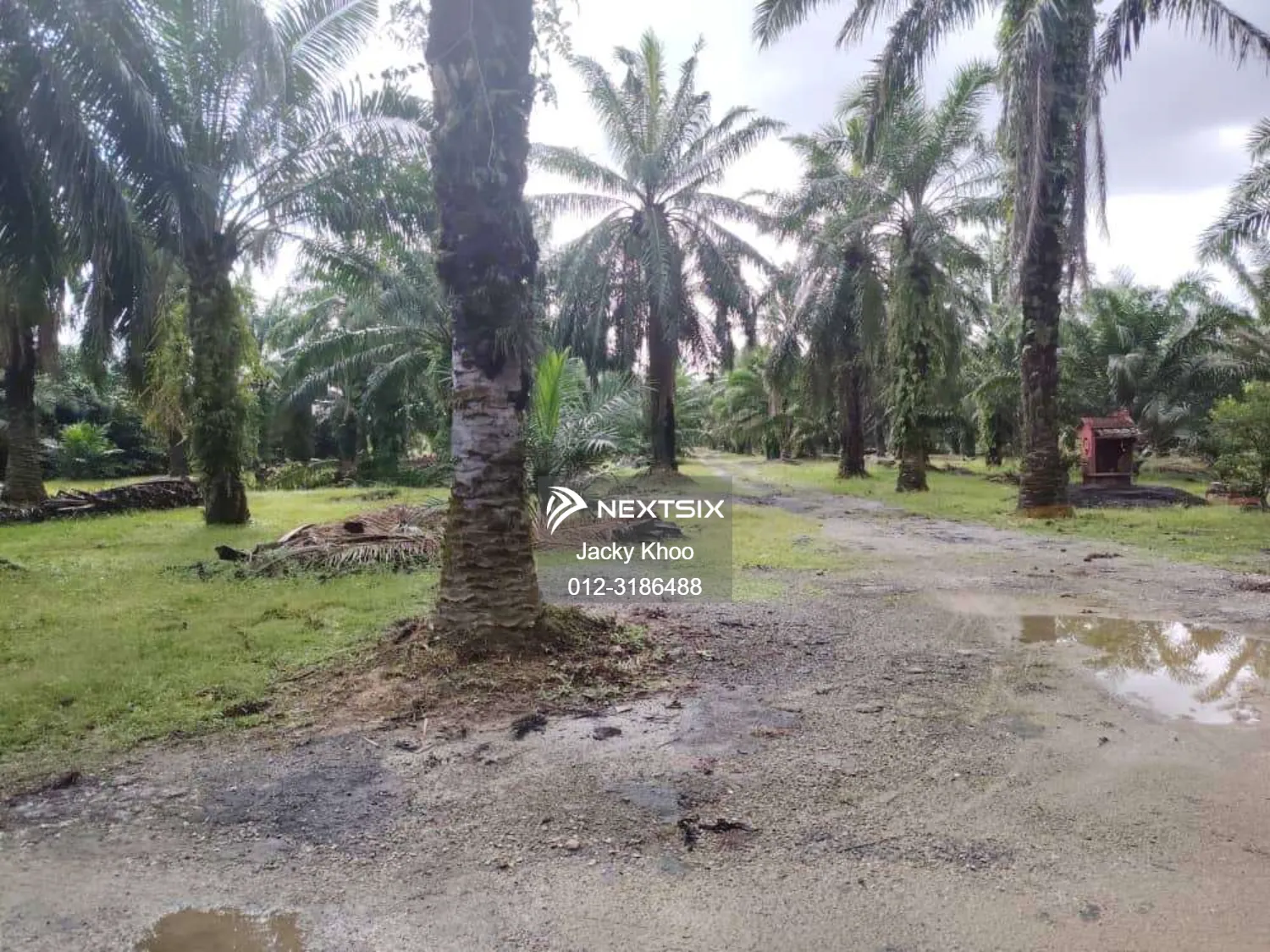 Agricultural Land For Sale in Telok Panglima Garang Selangor - Image 8