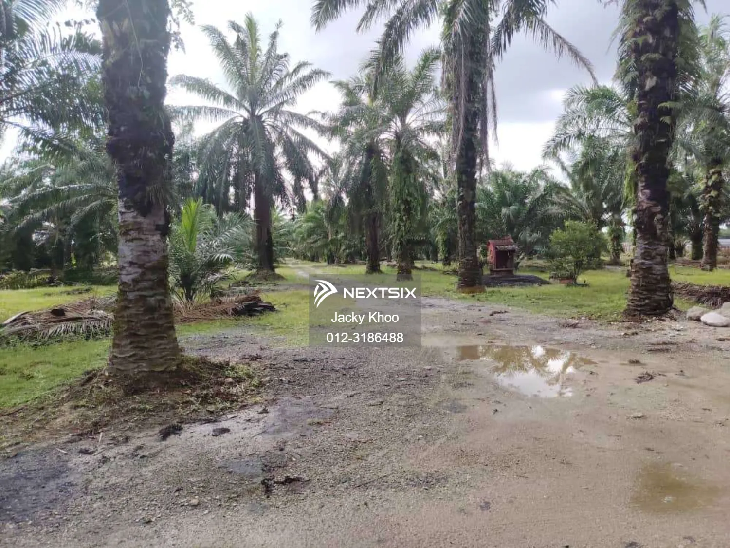 Agricultural Land For Sale in Telok Panglima Garang Selangor - Image 9