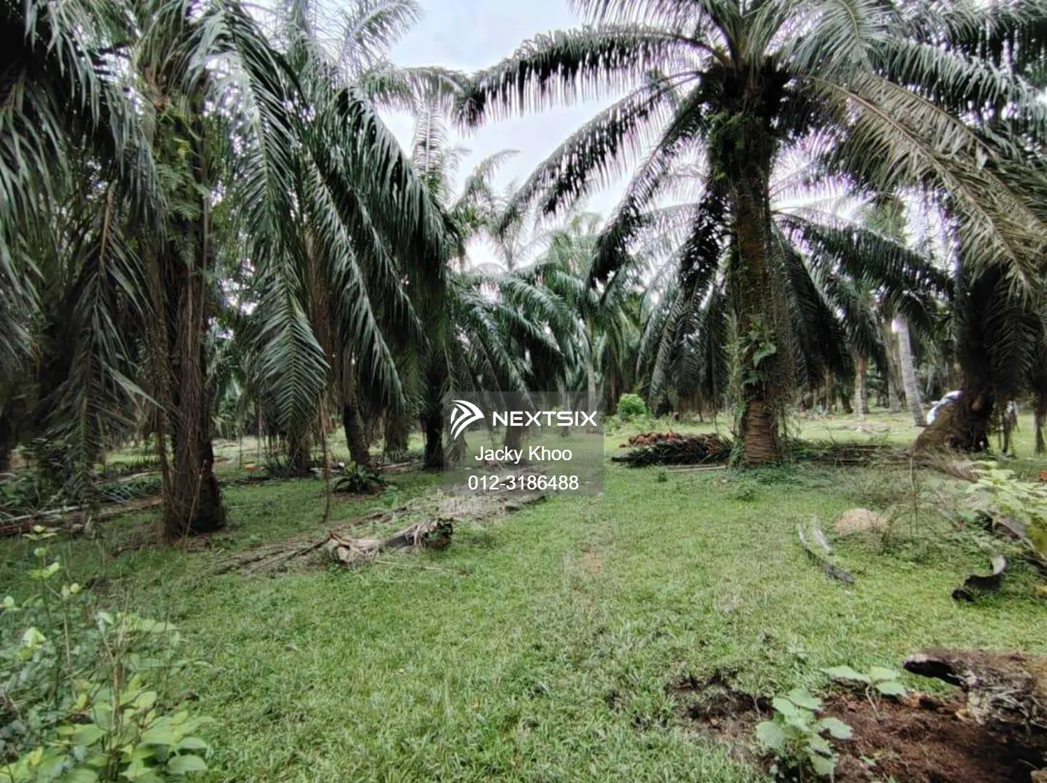 Agricultural Land For Sale in Kapar Selangor