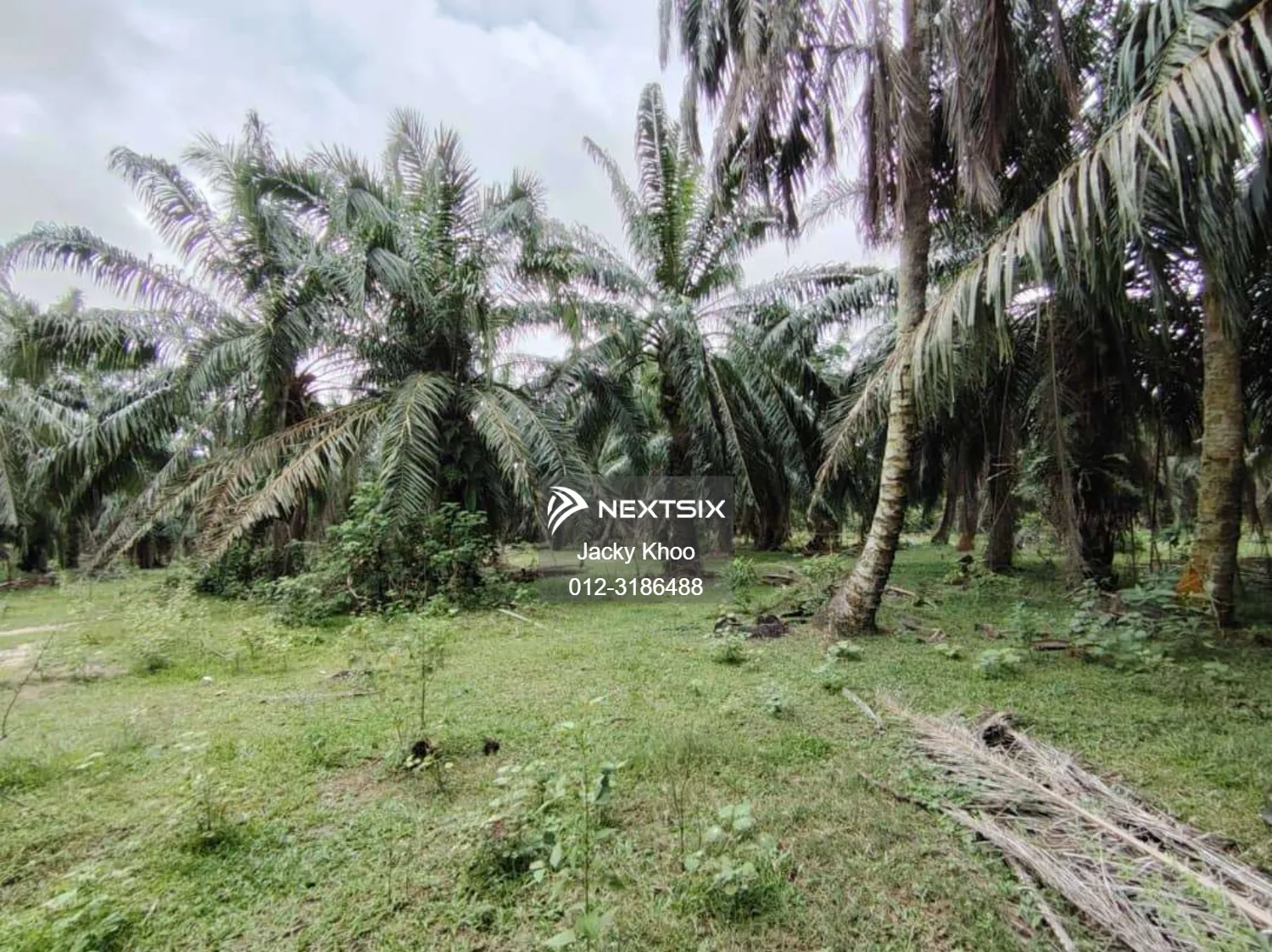 Agricultural Land For Sale in Kapar Selangor - Image 5