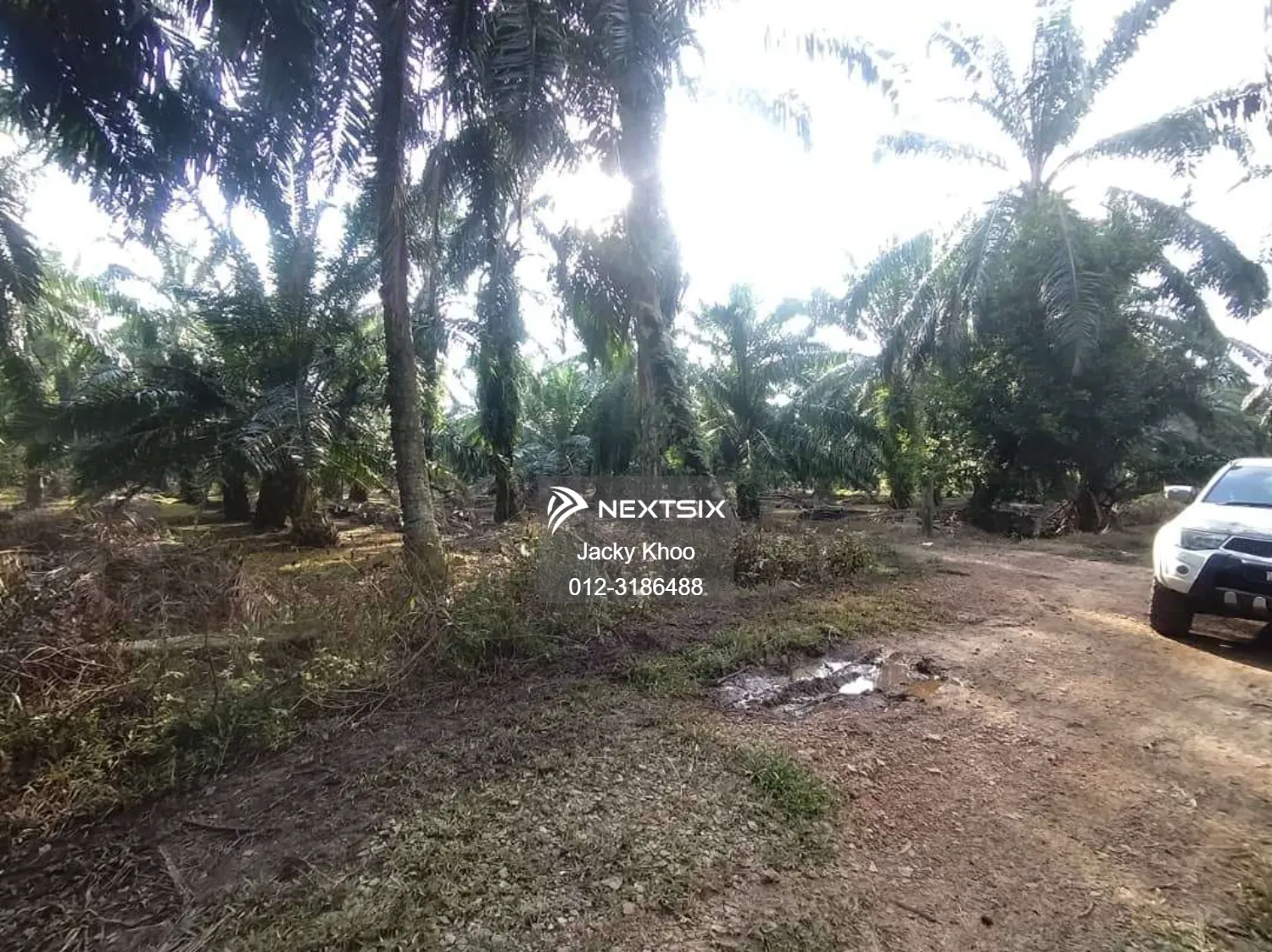 Agricultural Land For Sale in Banting Selangor - Image 3