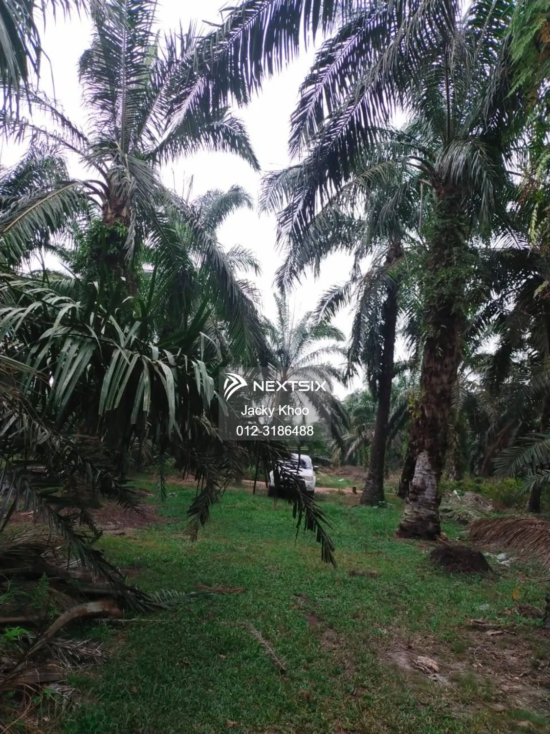 Agricultural Land For Sale in Banting Selangor - Image 8