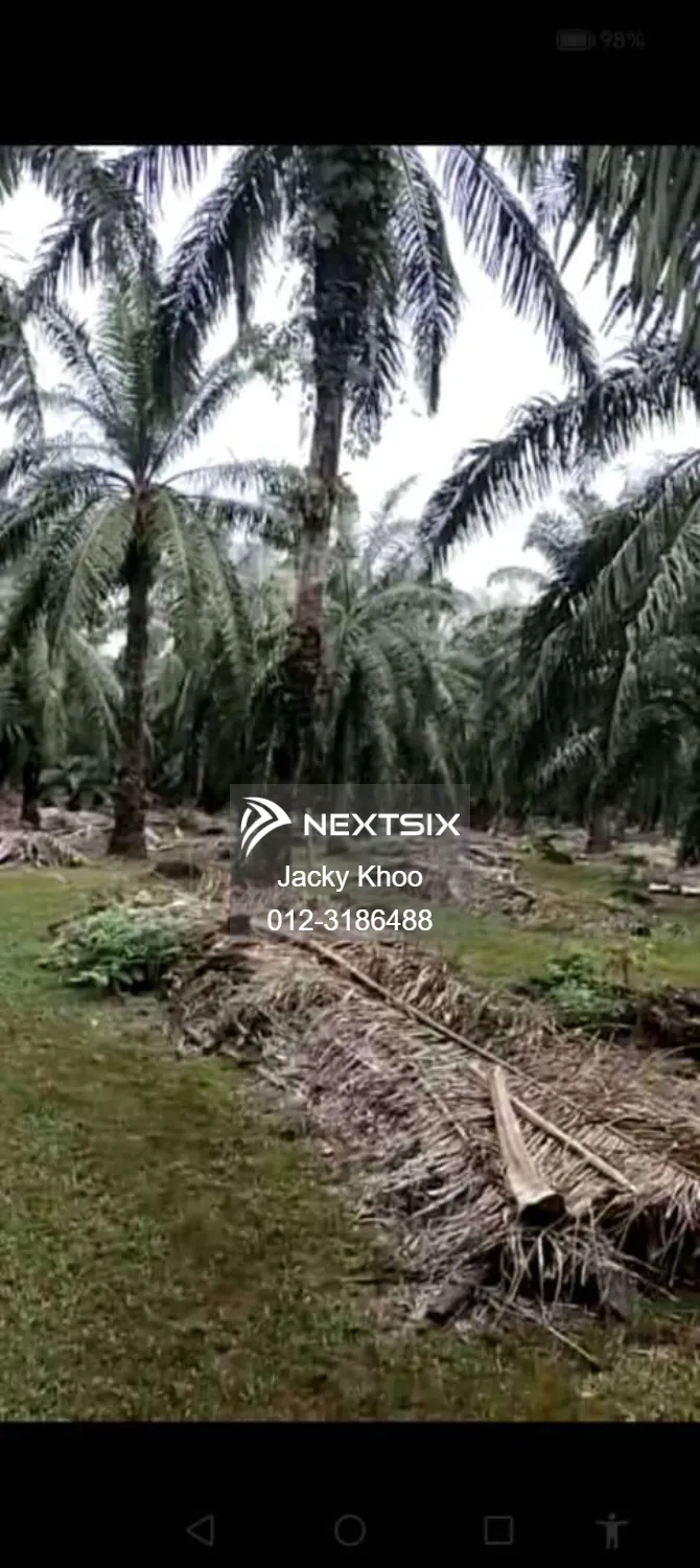 Agricultural Land For Sale in Banting Selangor - Image 9