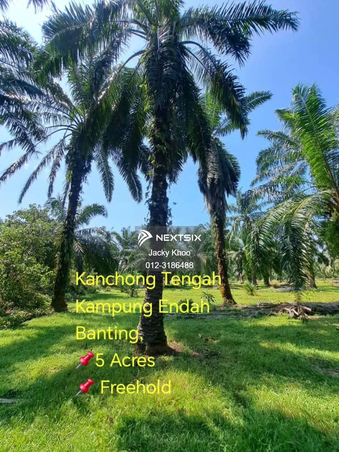 Kanchong Tengah Kampung Endah Banting, 5 Acres