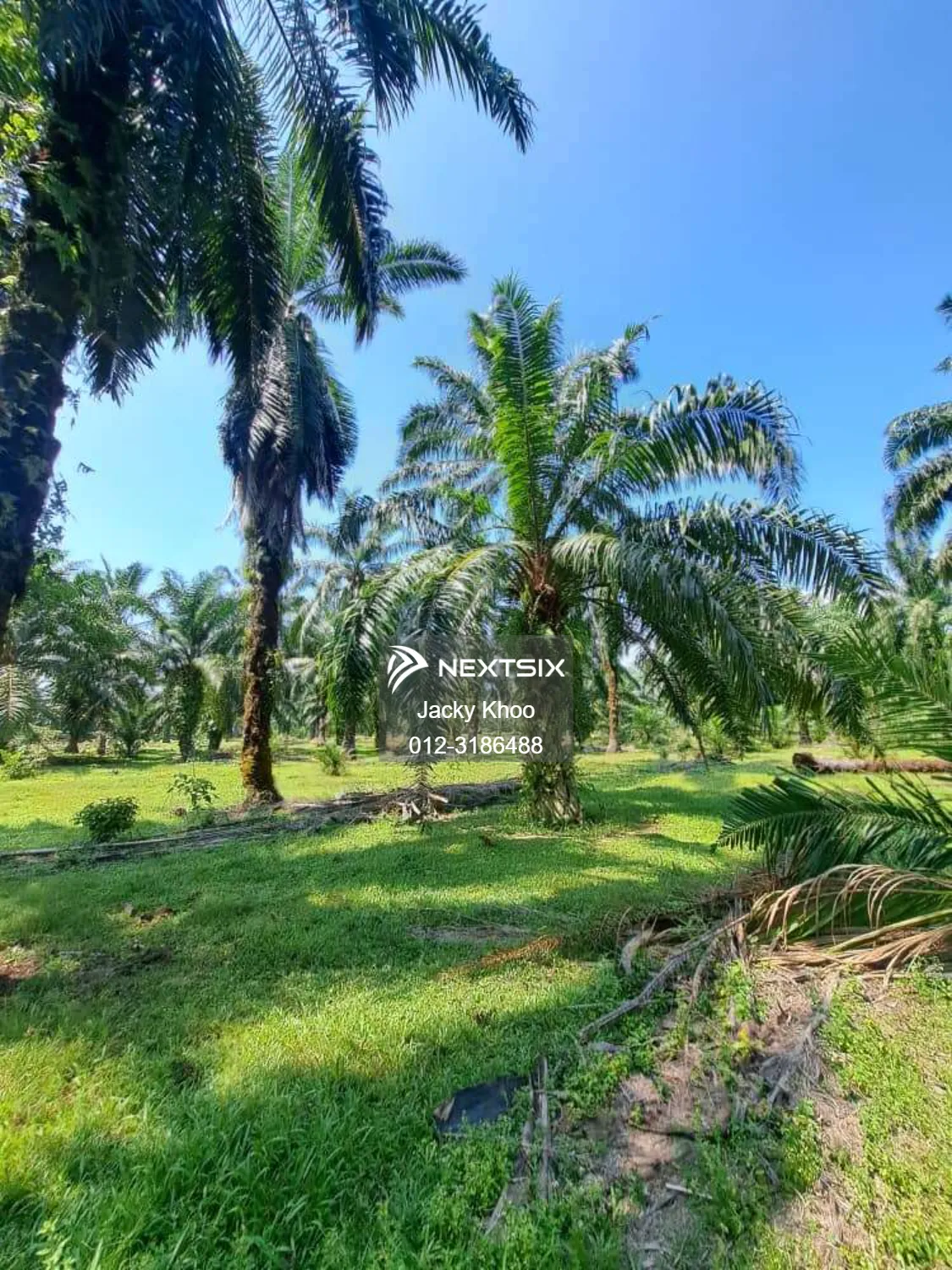 Agricultural Land For Sale in Banting Selangor - Image 2