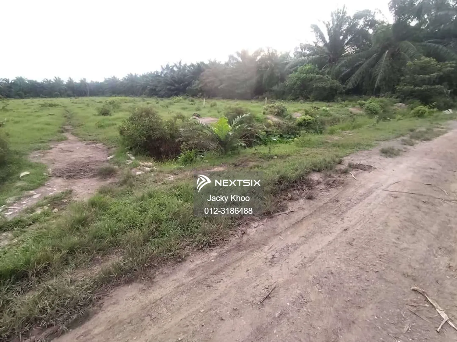 Agricultural Land For Sale in Banting Selangor - Image 5