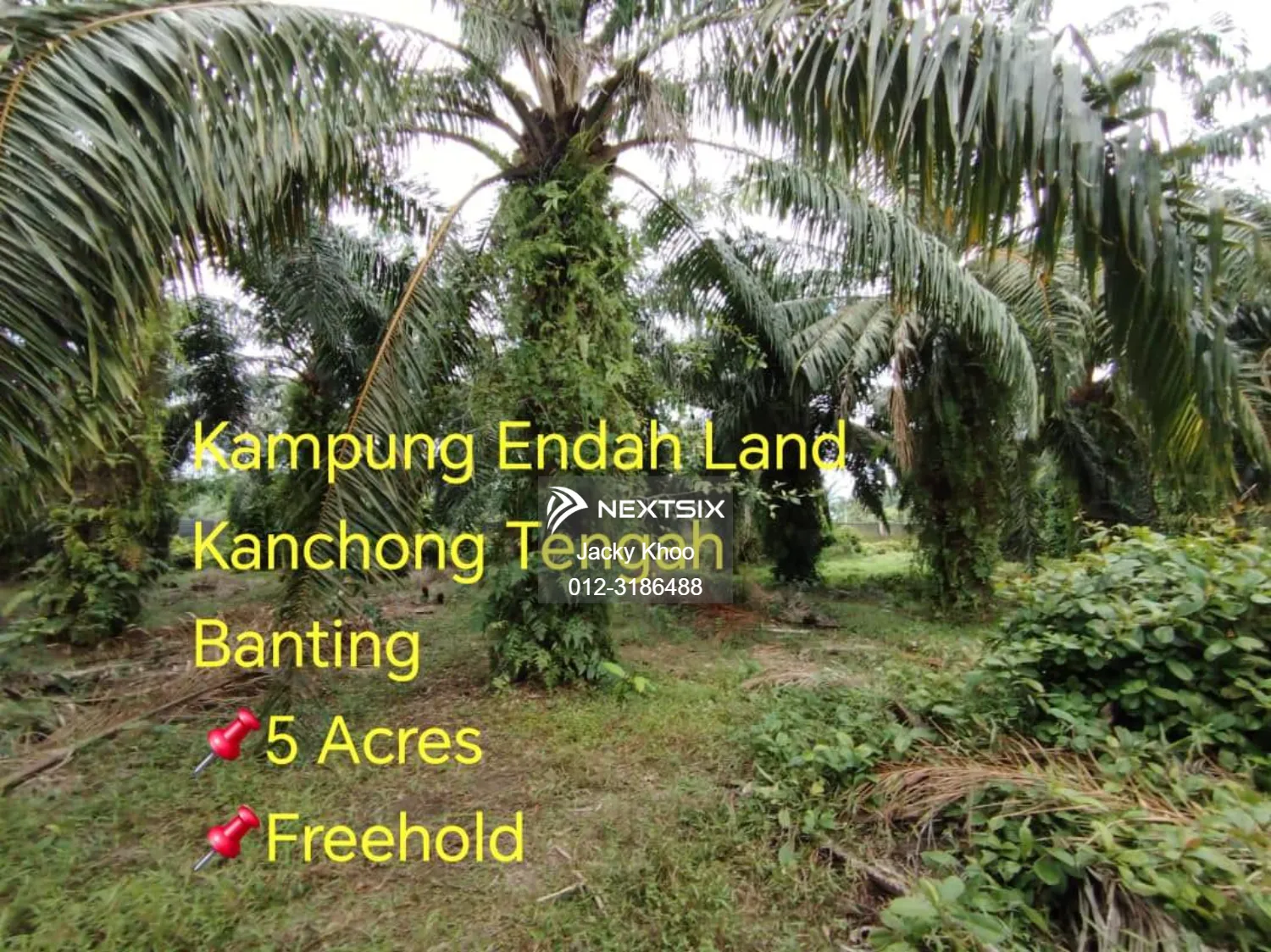 Kampung Endah Land Morib Kelanang Kanchong Tengah Banting, 5 Acres Land