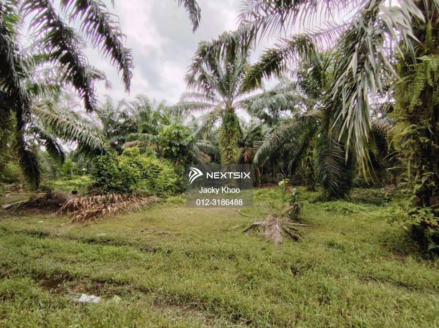 Agricultural Land For Sale in Banting Selangor - Image 5