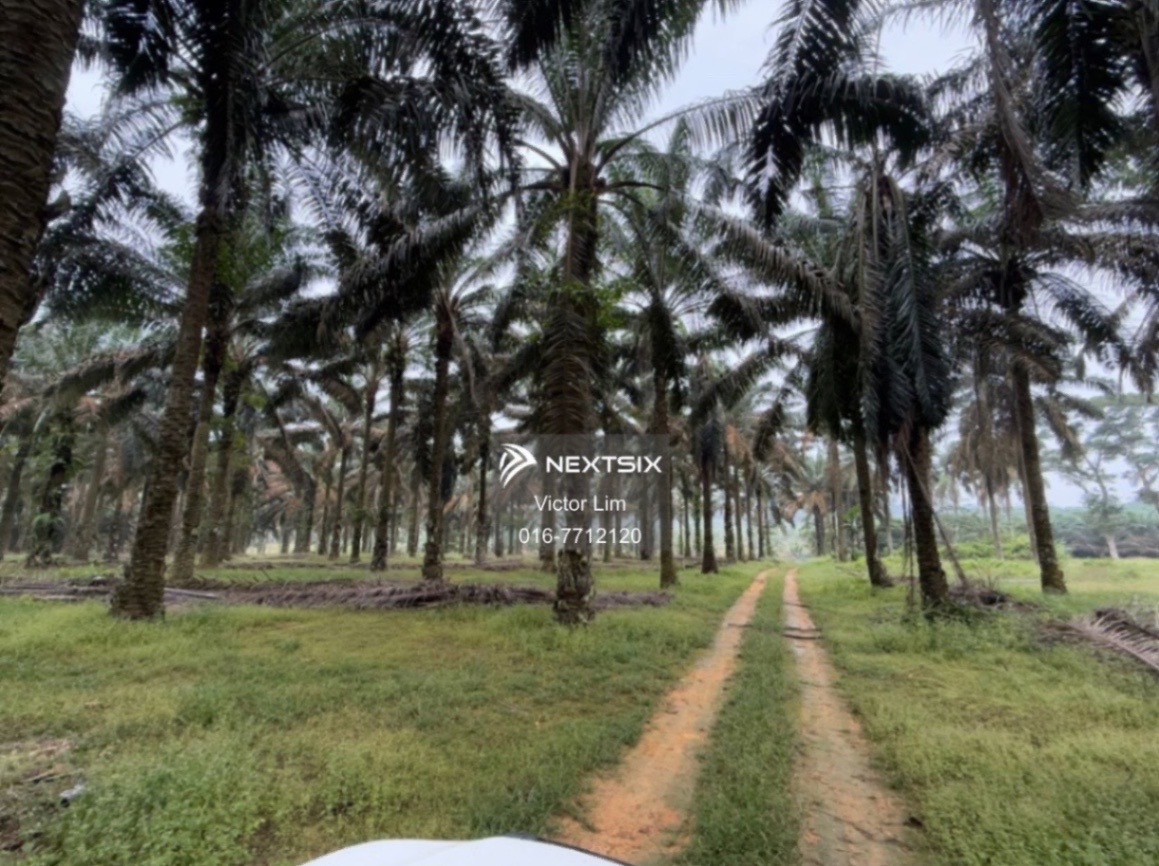 Agricultural Land For Sale in Kulai Johor