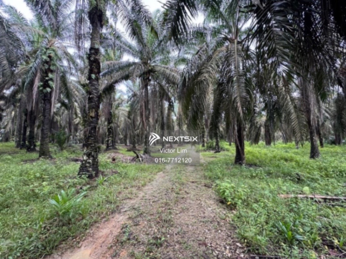 Agricultural Land For Sale in Simpang Rengam Johor