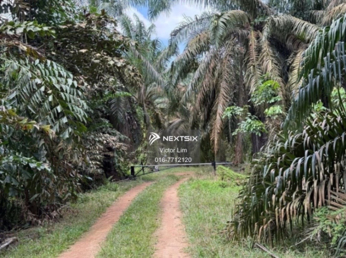 Agricultural Land For Sale in Simpang Rengam Johor - Image 5