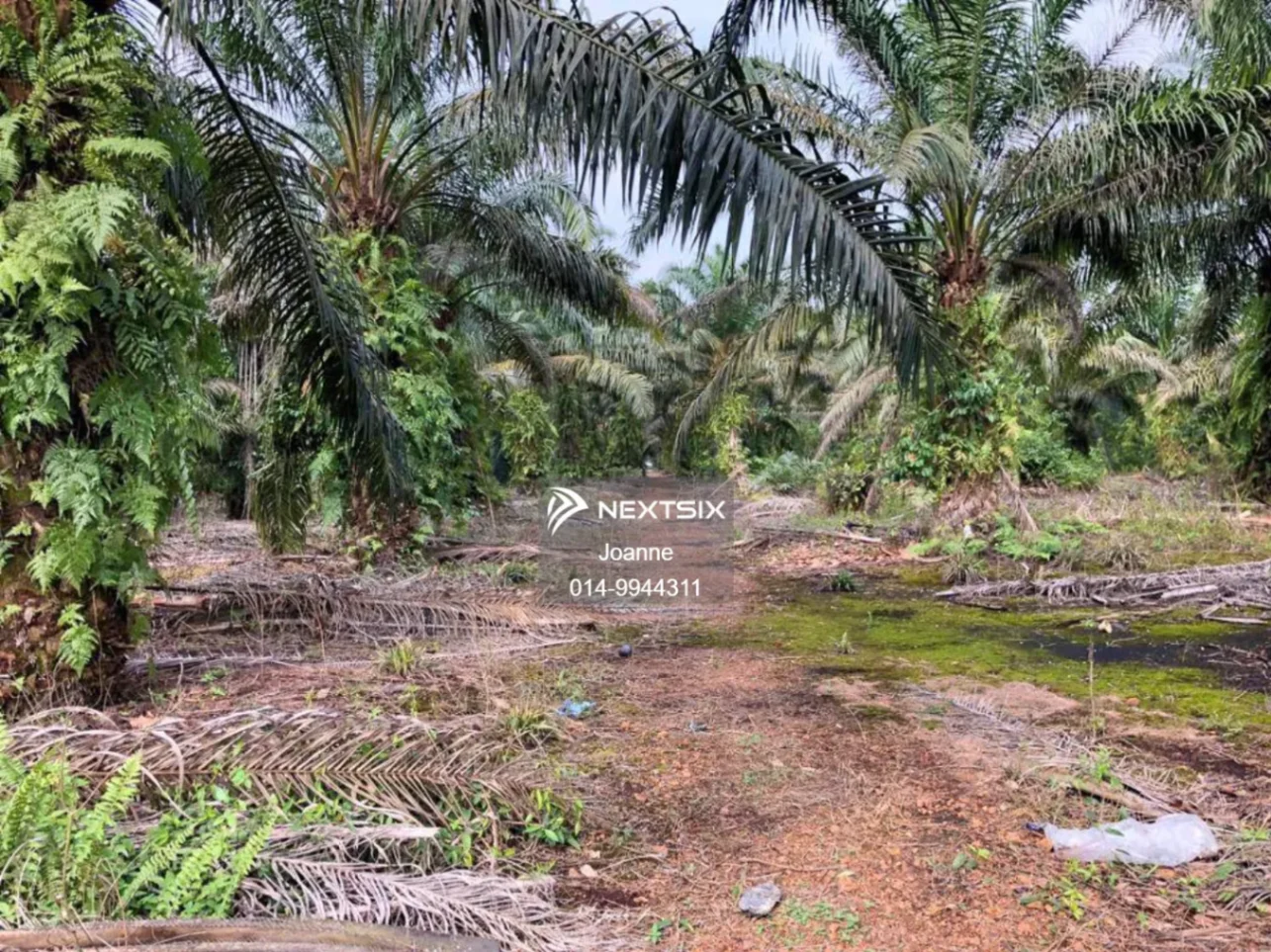 Industrial Land For Sale in Pontian Johor
