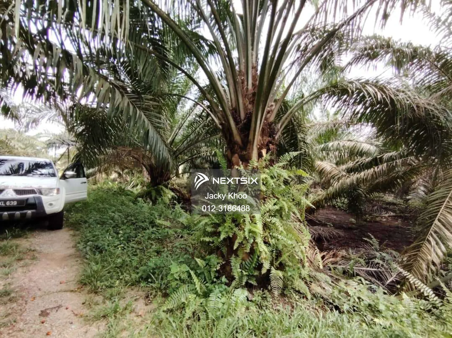 Banting Kanchong Felcra Banting Agricultural Land * 2.5 acres Flat Land