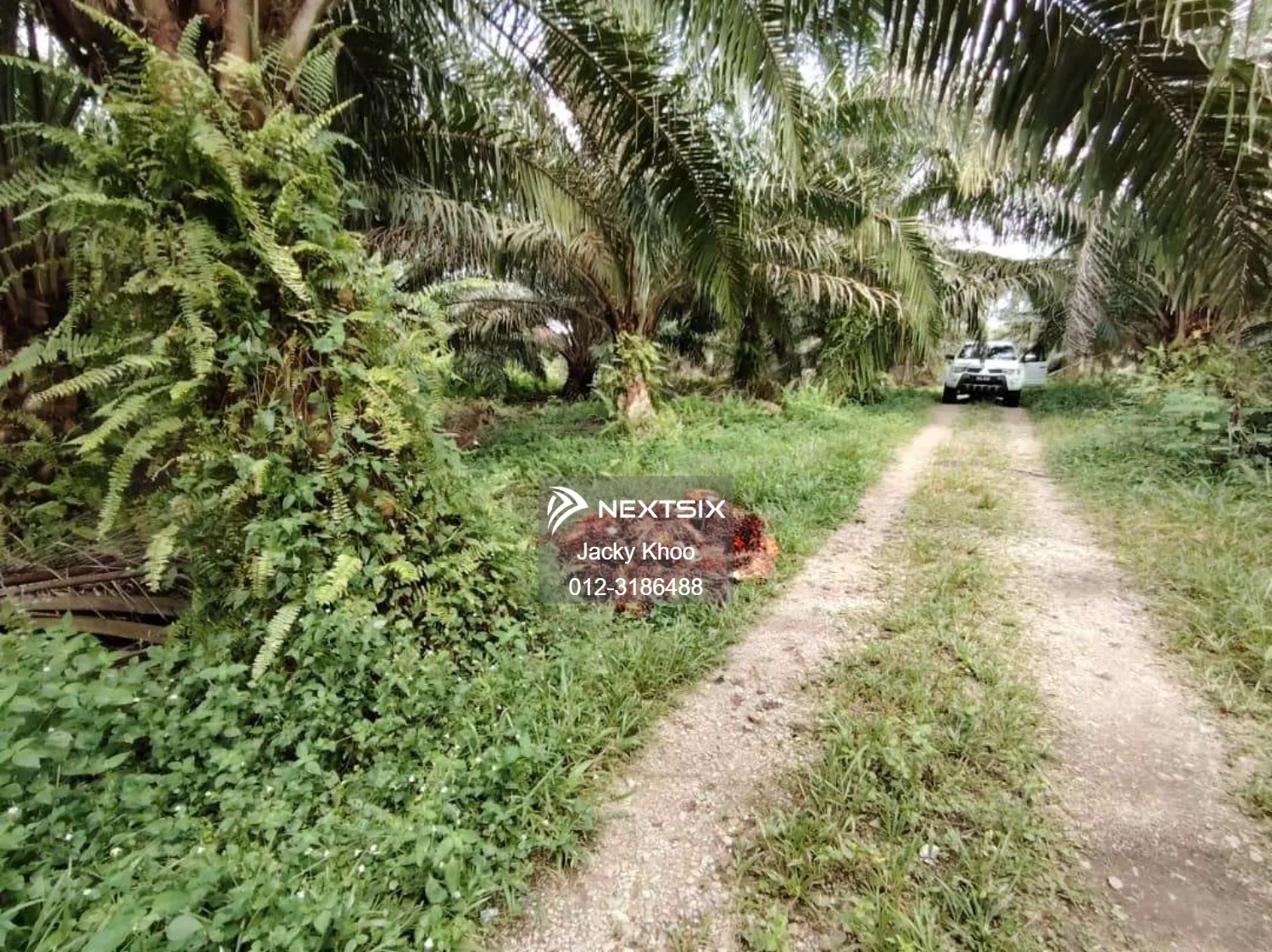 Agricultural Land For Sale in Banting Selangor - Image 2