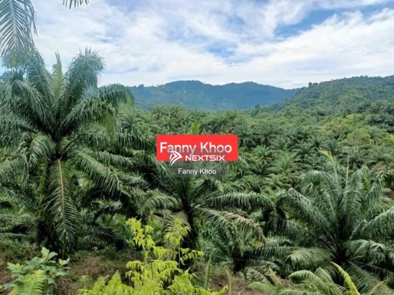 Commercial Land For Sale in Beaufort Sabah - Image 2