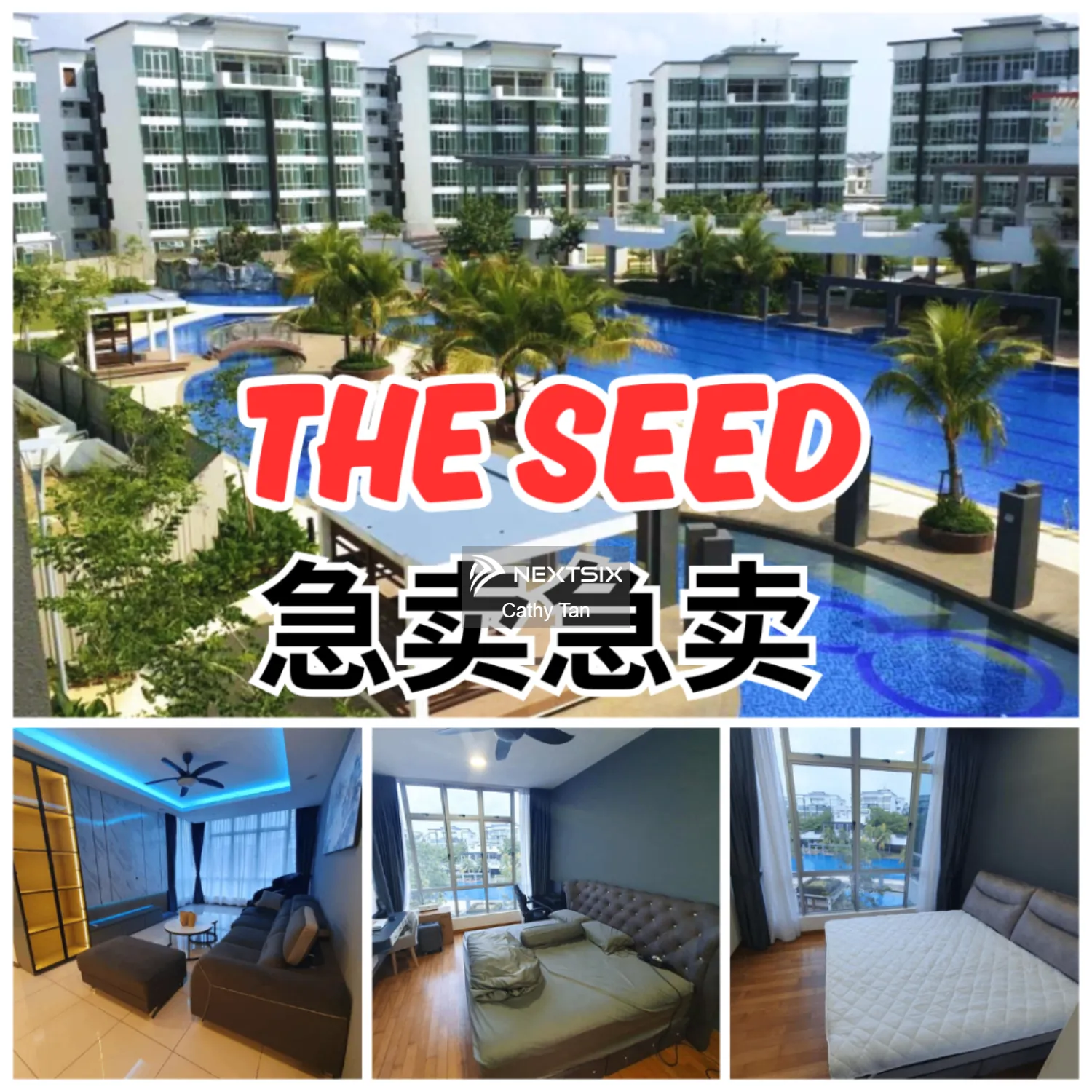 The Seed