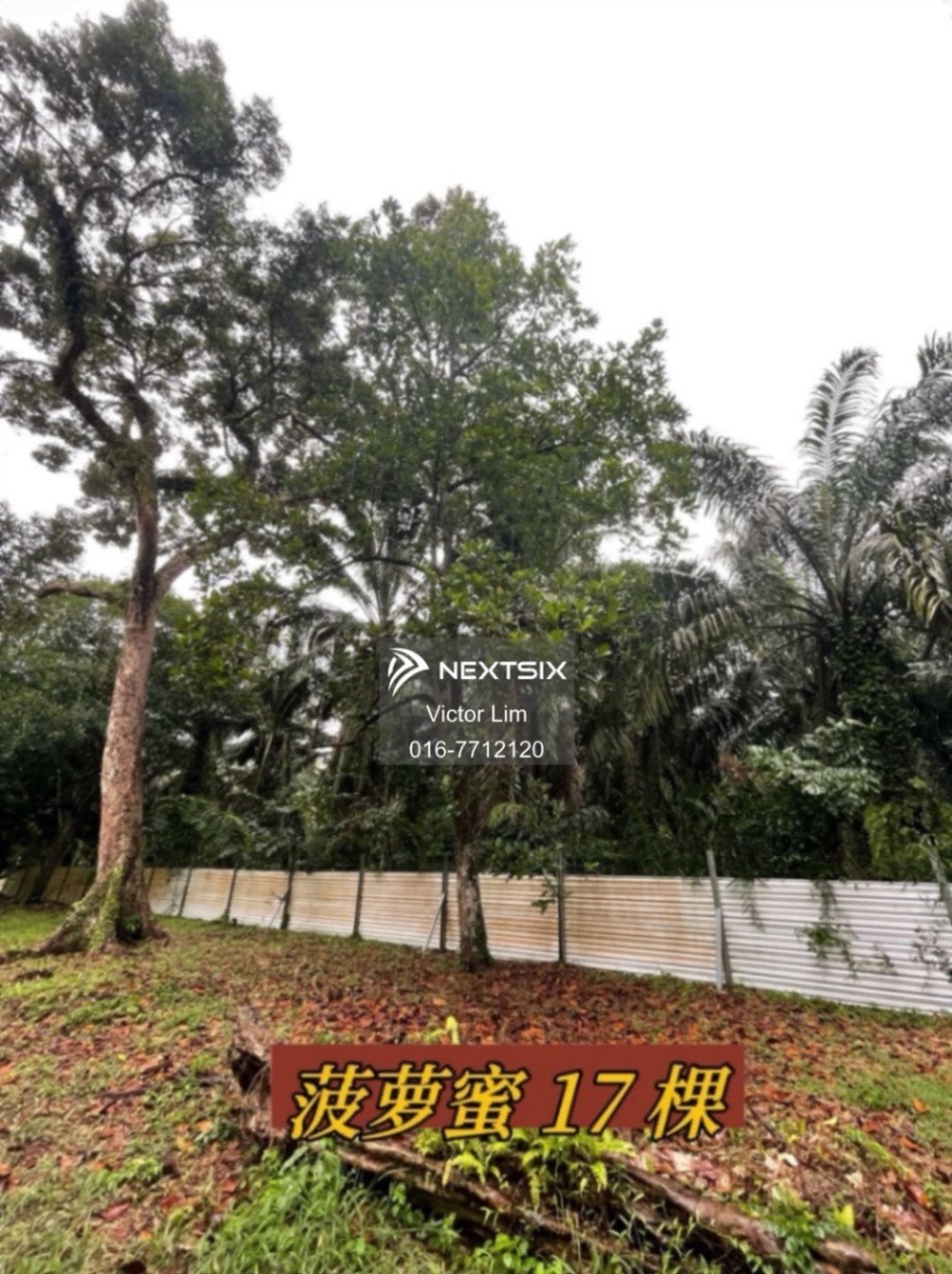 Agricultural Land For Sale in Pontian Johor - Image 6
