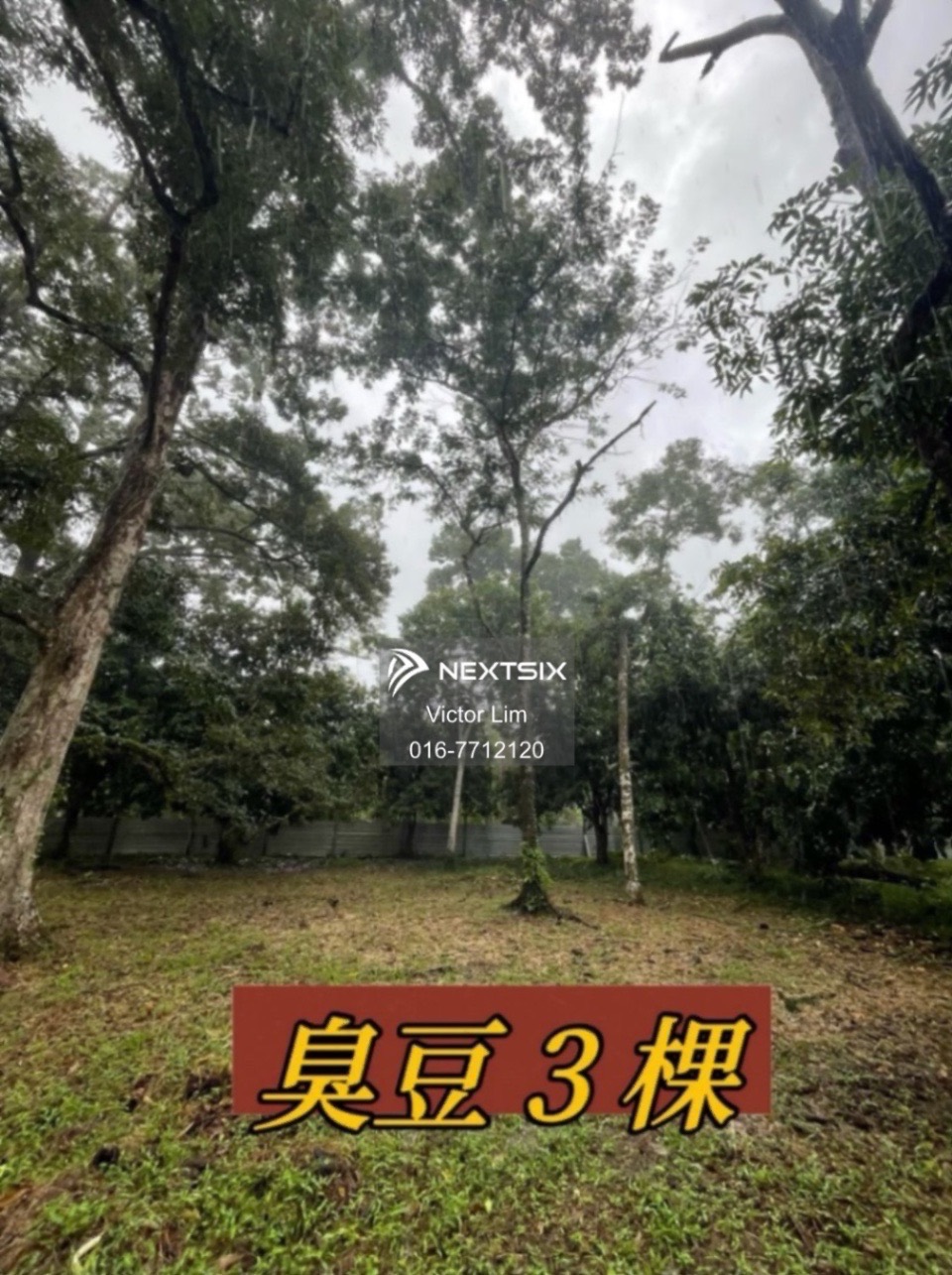 Agricultural Land For Sale in Pontian Johor - Image 8